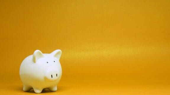 white pig money box