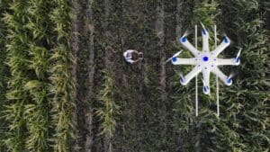 Overhead shot of drone spraying crops while farmer controls it from the ground.