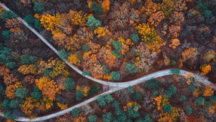 Aerial view on country road through the mixed forest in autumn colours.